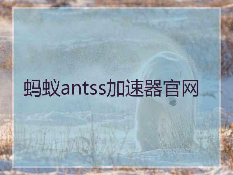 蚂蚁antss加速器官网