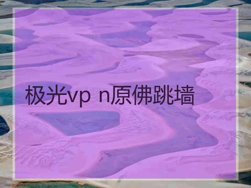 极光vp n原佛跳墙