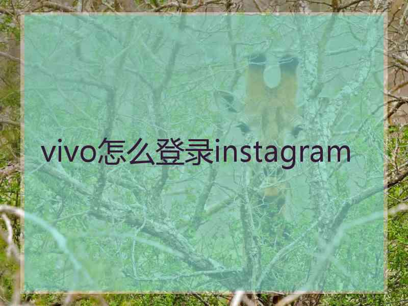 vivo怎么登录instagram