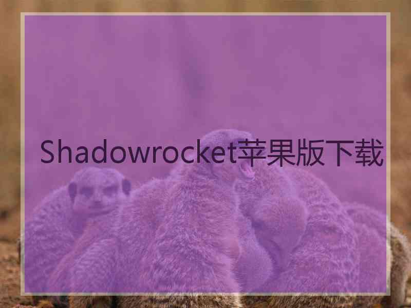 Shadowrocket苹果版下载