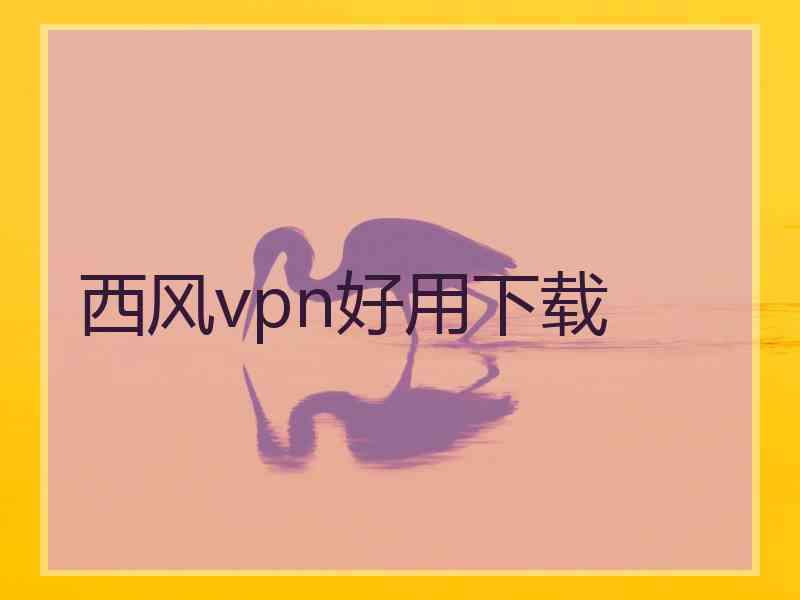 西风vpn好用下载