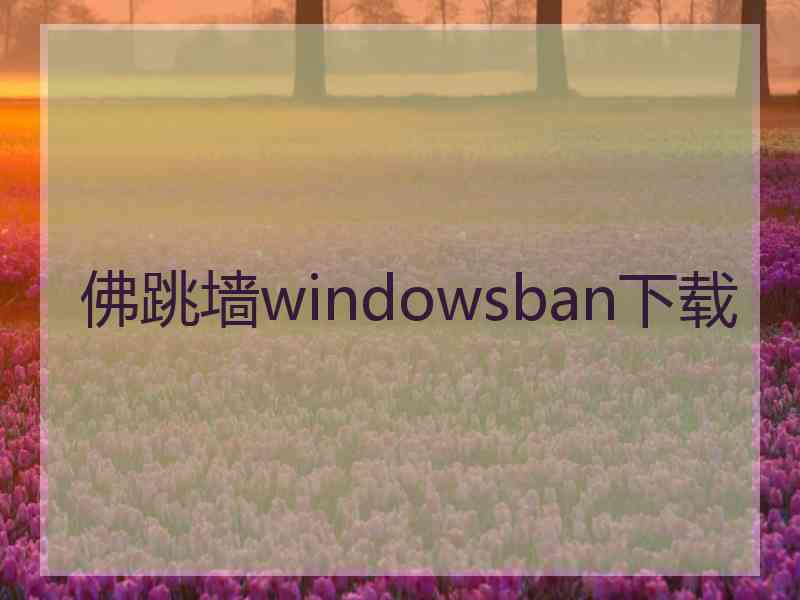 佛跳墙windowsban下载