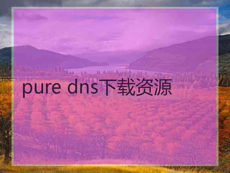 pure dns下载资源