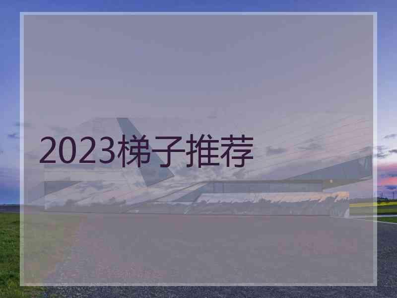 2023梯子推荐