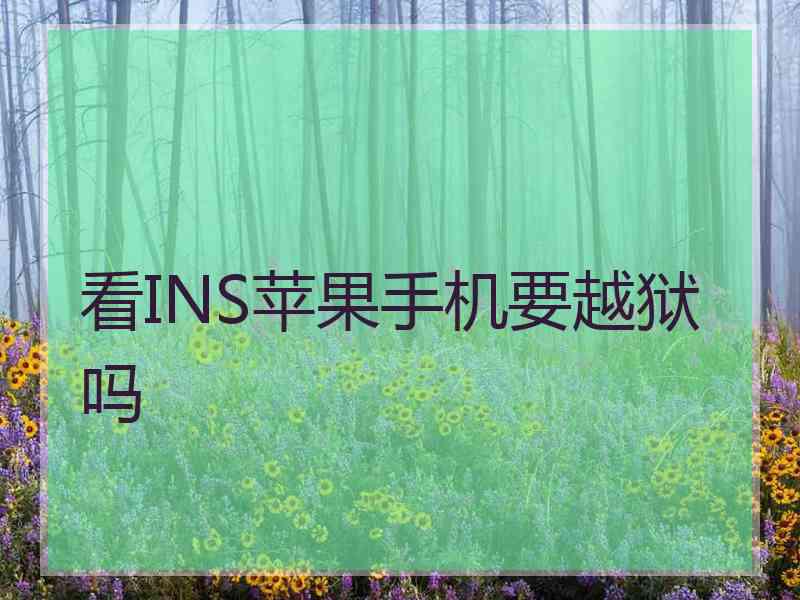 看INS苹果手机要越狱吗