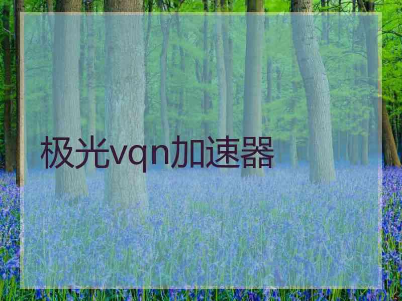 极光vqn加速器