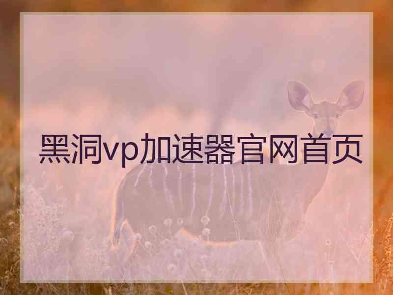 黑洞vp加速器官网首页