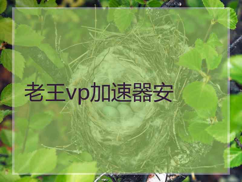 老王vp加速器安