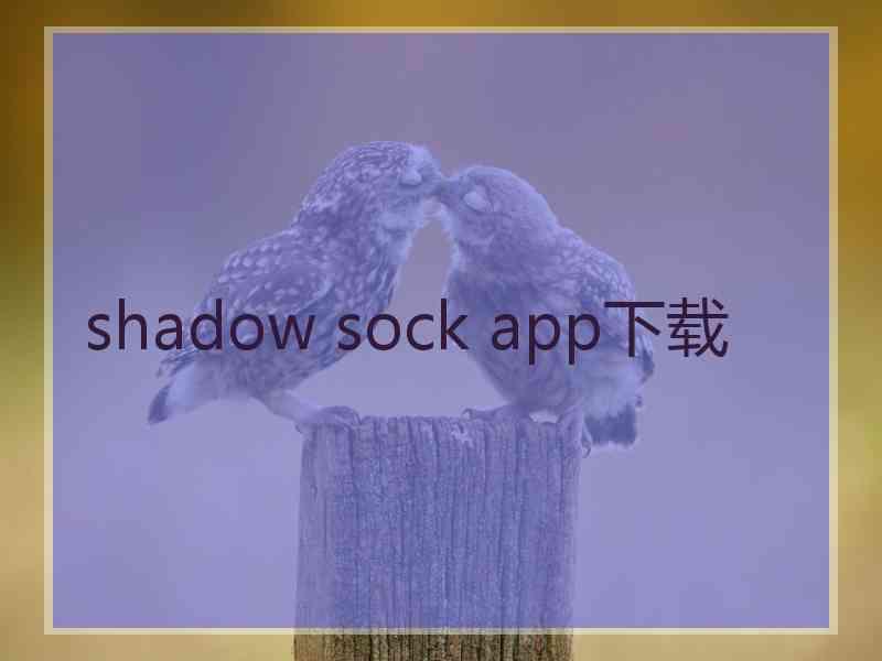 shadow sock app下载