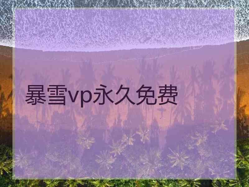 暴雪vp永久免费