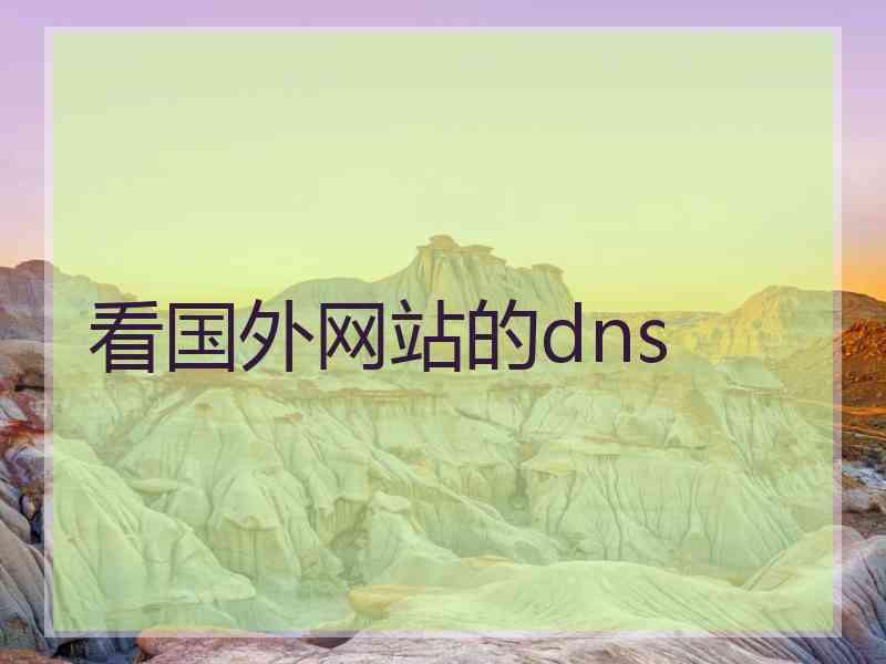 看国外网站的dns
