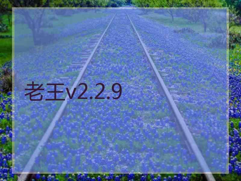 老王v2.2.9