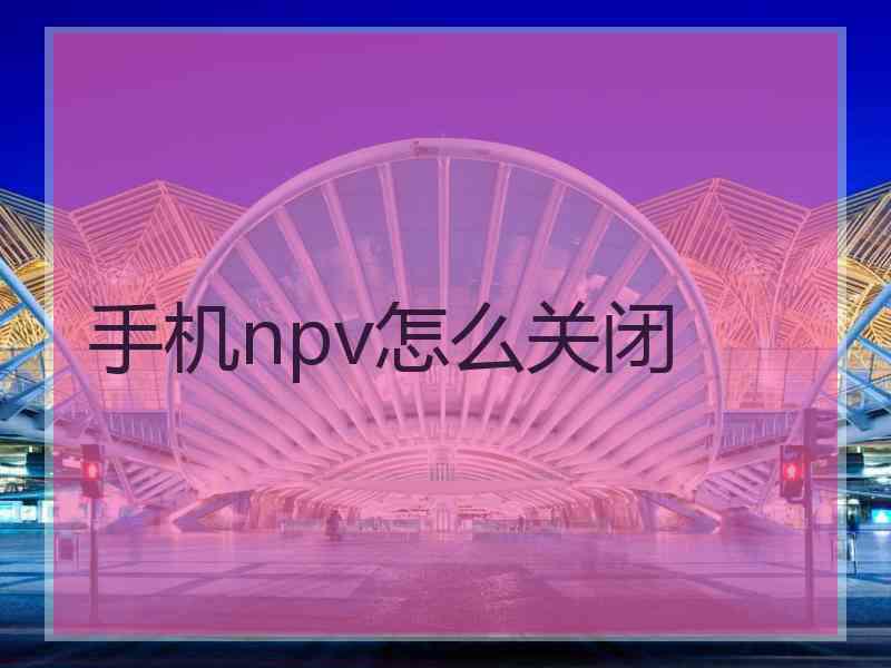 手机npv怎么关闭