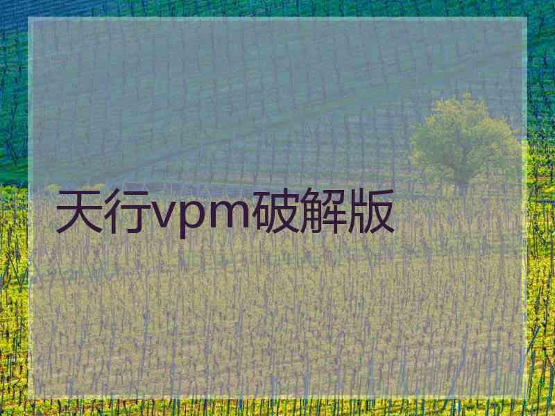 天行vpm破解版