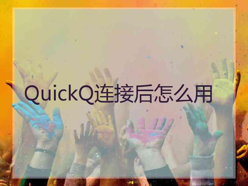 QuickQ连接后怎么用