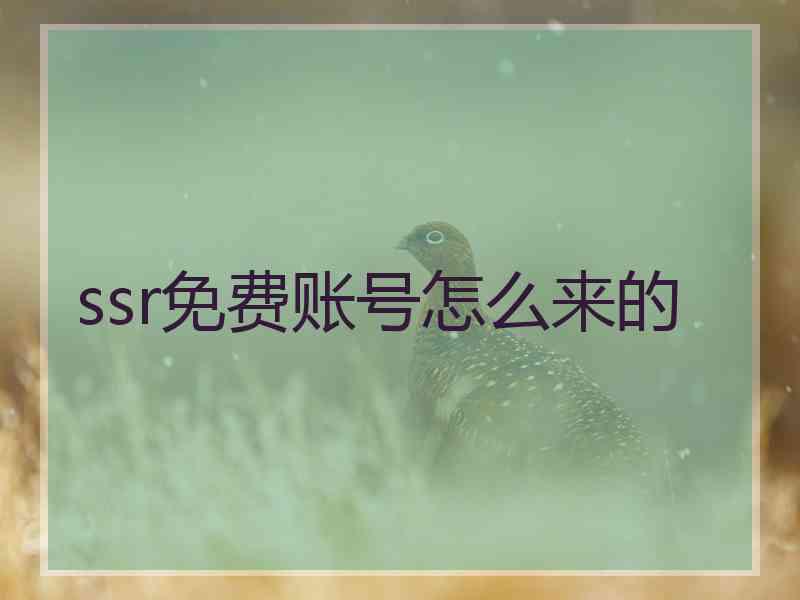 ssr免费账号怎么来的