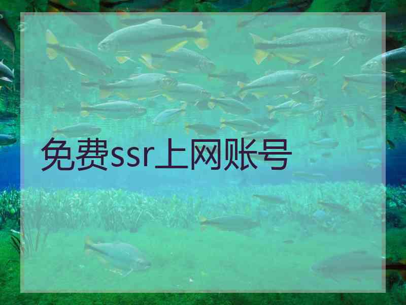 免费ssr上网账号