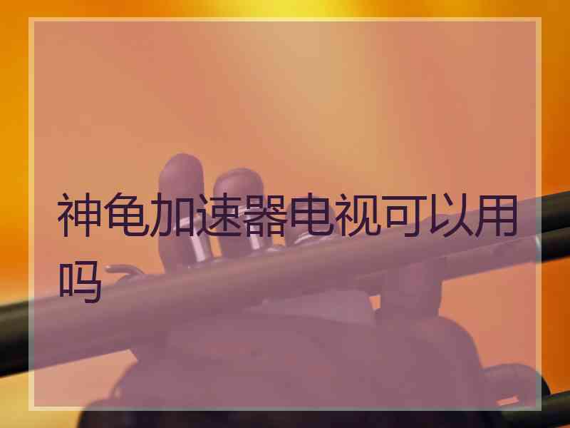 神龟加速器电视可以用吗