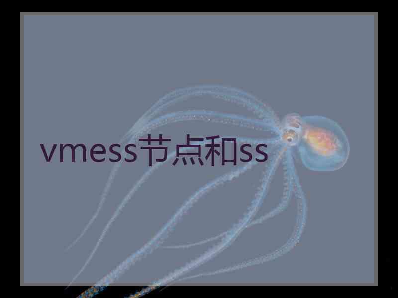 vmess节点和ss