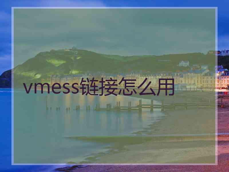 vmess链接怎么用
