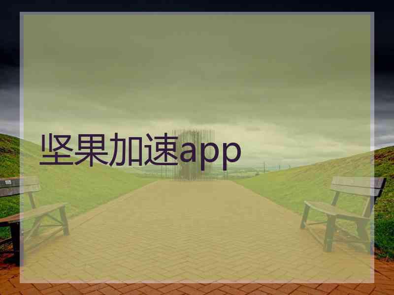 坚果加速app