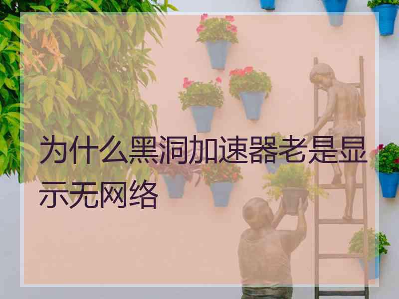 为什么黑洞加速器老是显示无网络