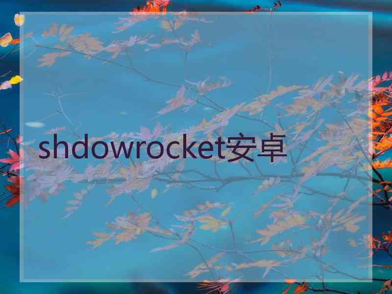 shdowrocket安卓