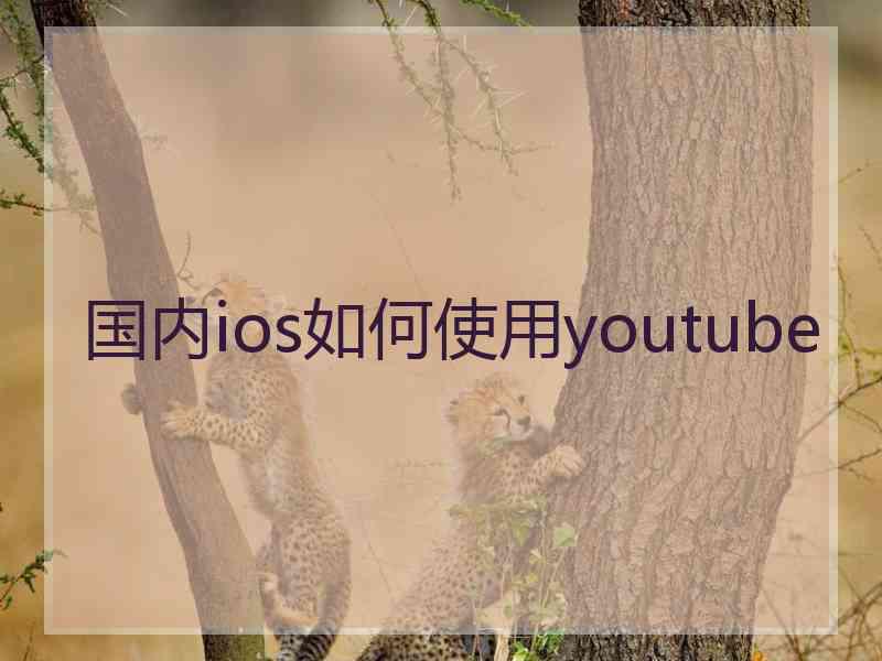 国内ios如何使用youtube