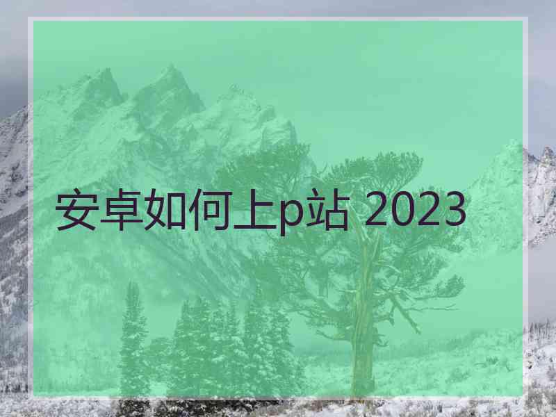 安卓如何上p站 2023