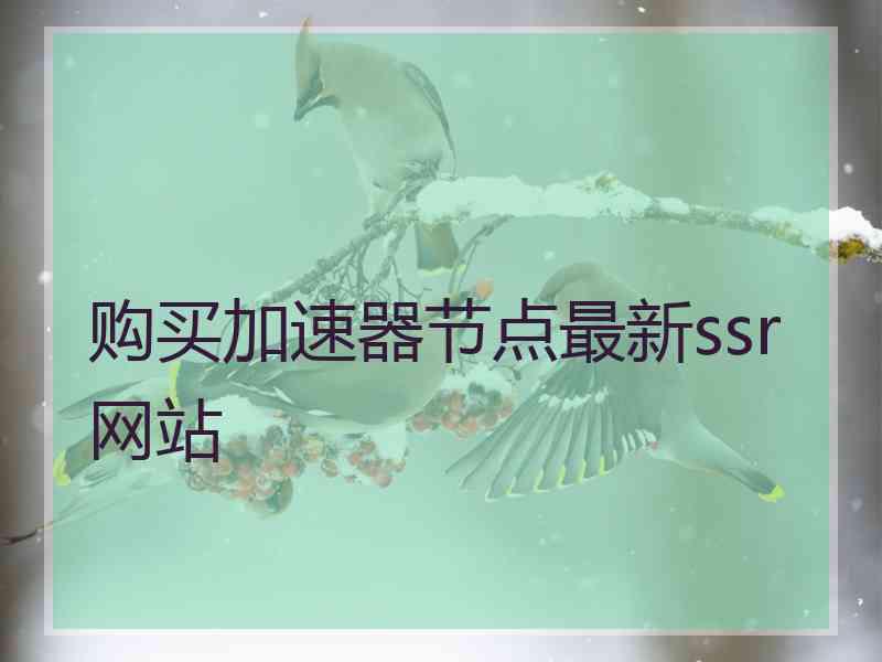 购买加速器节点最新ssr网站