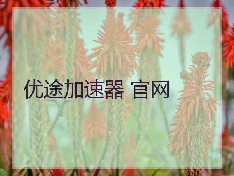 优途加速器 官网