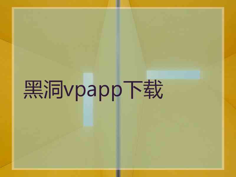 黑洞vpapp下载