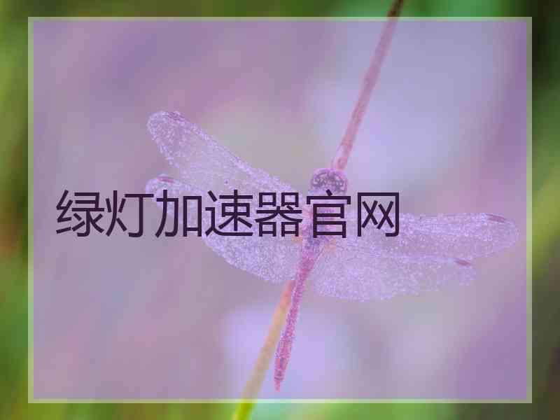 绿灯加速器官网