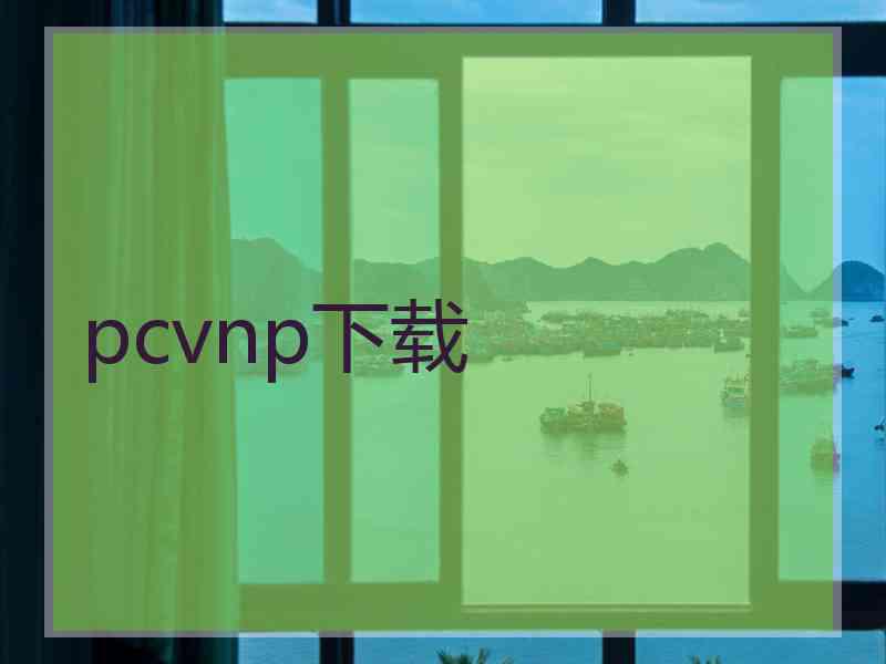 pcvnp下载