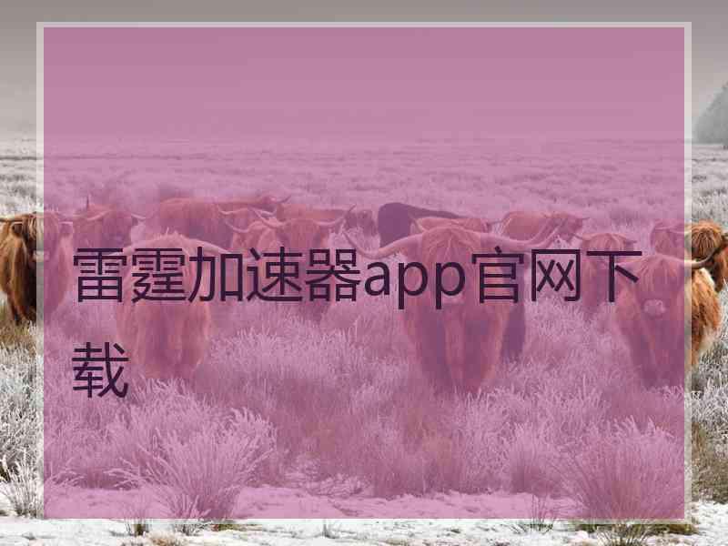 雷霆加速器app官网下载