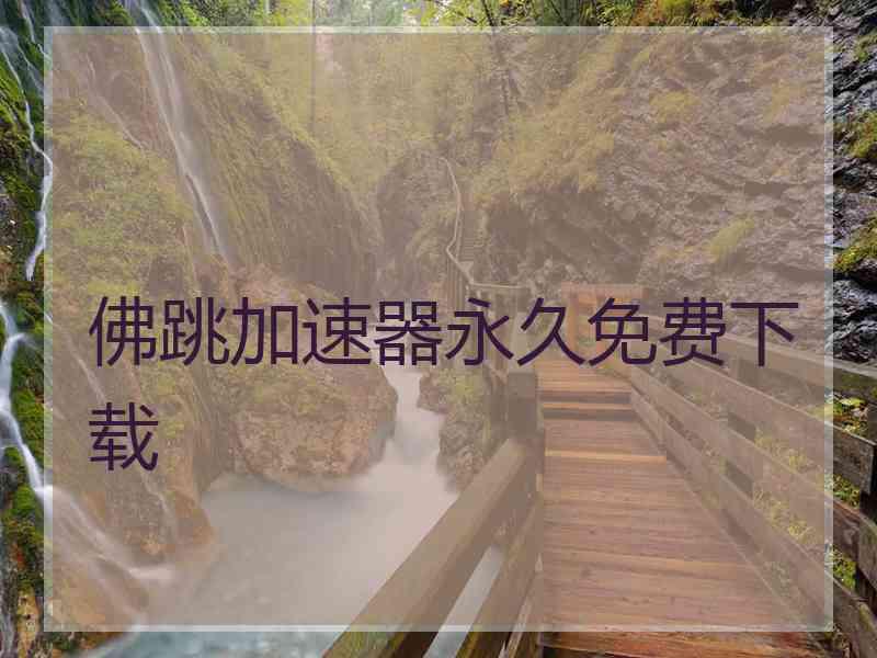 佛跳加速器永久免费下载