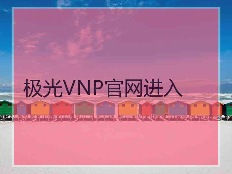 极光VNP官网进入