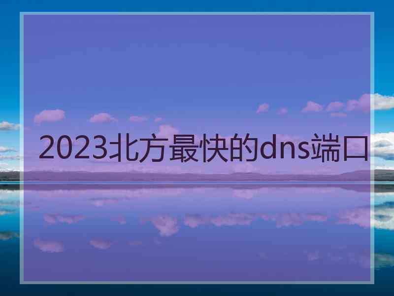 2023北方最快的dns端口