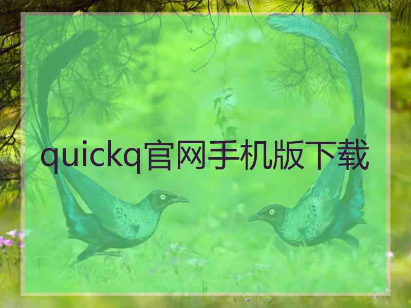 quickq官网手机版下载
