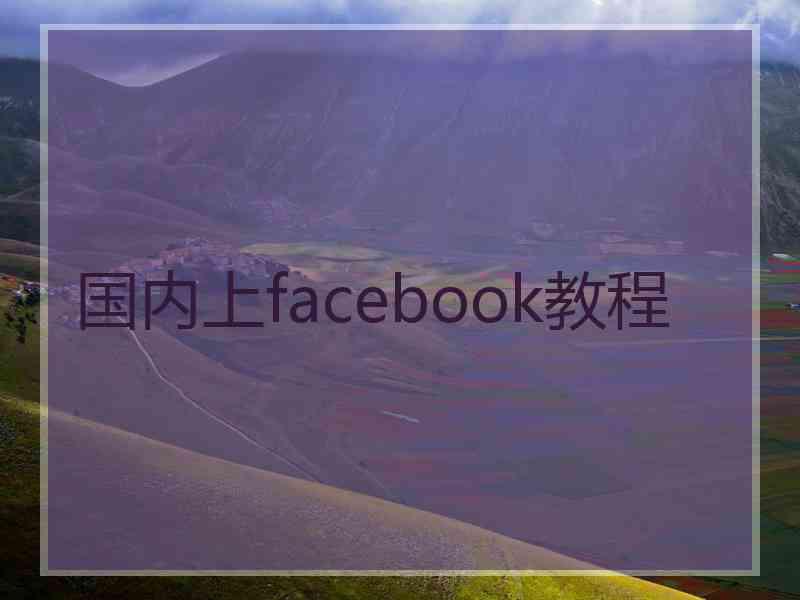 国内上facebook教程