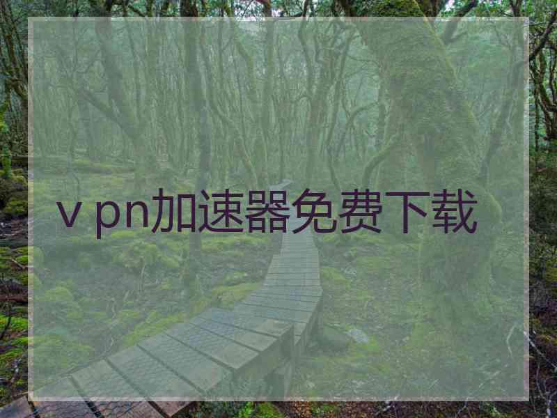 ⅴpn加速器免费下载