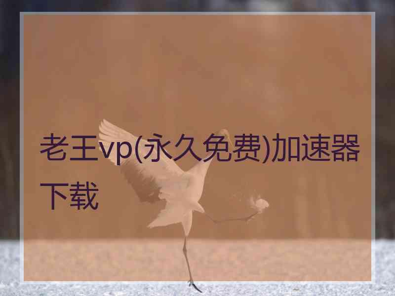 老王vp(永久免费)加速器下载