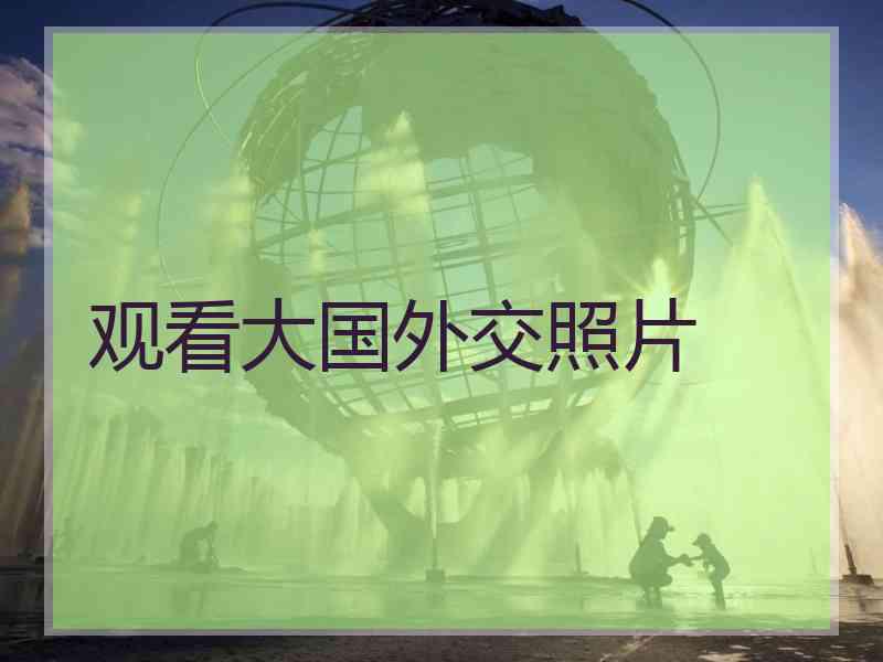 观看大国外交照片
