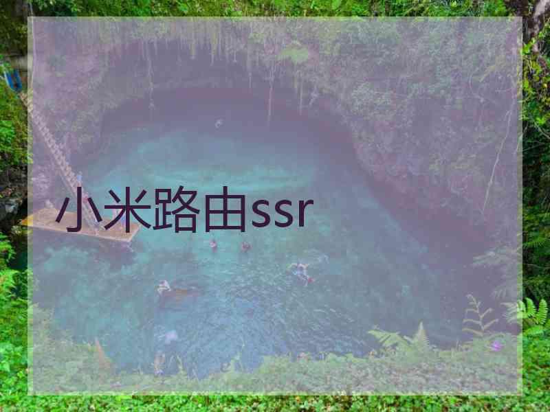 小米路由ssr