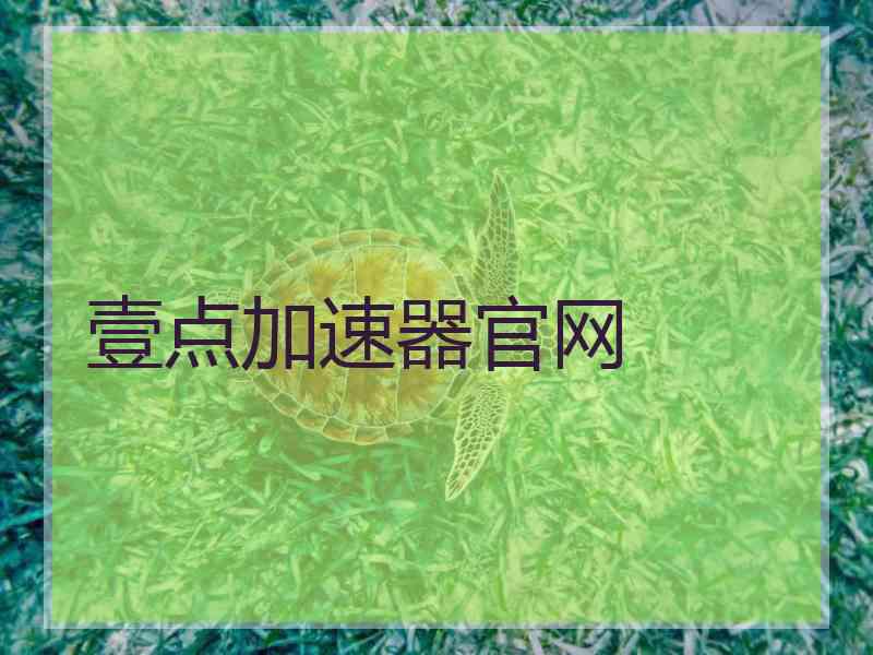 壹点加速器官网