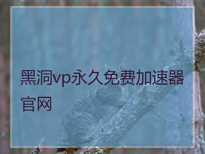 黑洞vp永久免费加速器官网