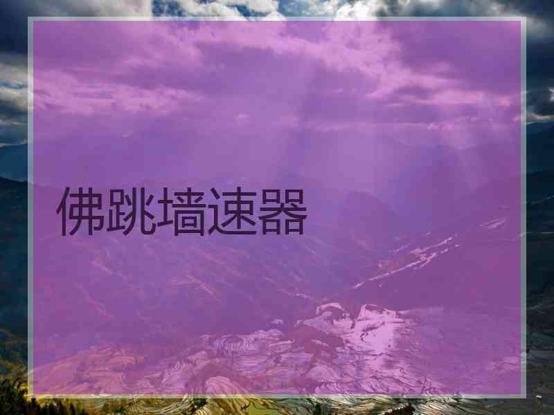 佛跳墙速器