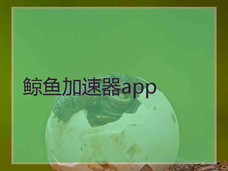 鲸鱼加速器app