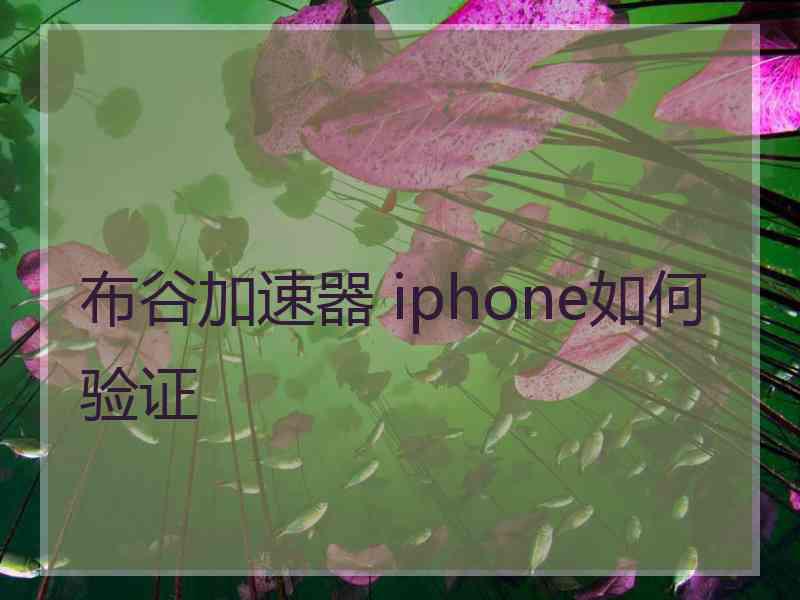 布谷加速器 iphone如何验证