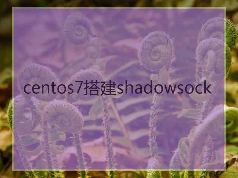 centos7搭建shadowsock